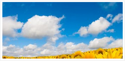 Metrologia sinonimo de optimizacion