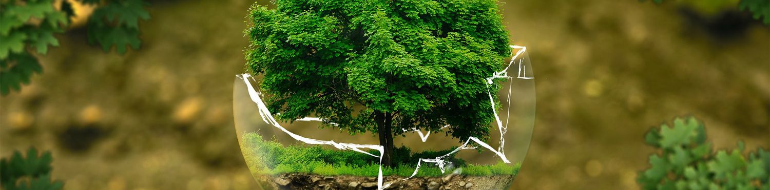 02 GESTION AMBIENTAL 02